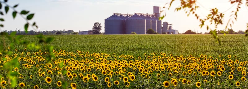 farming land
