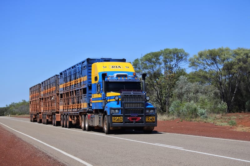 cattle truck