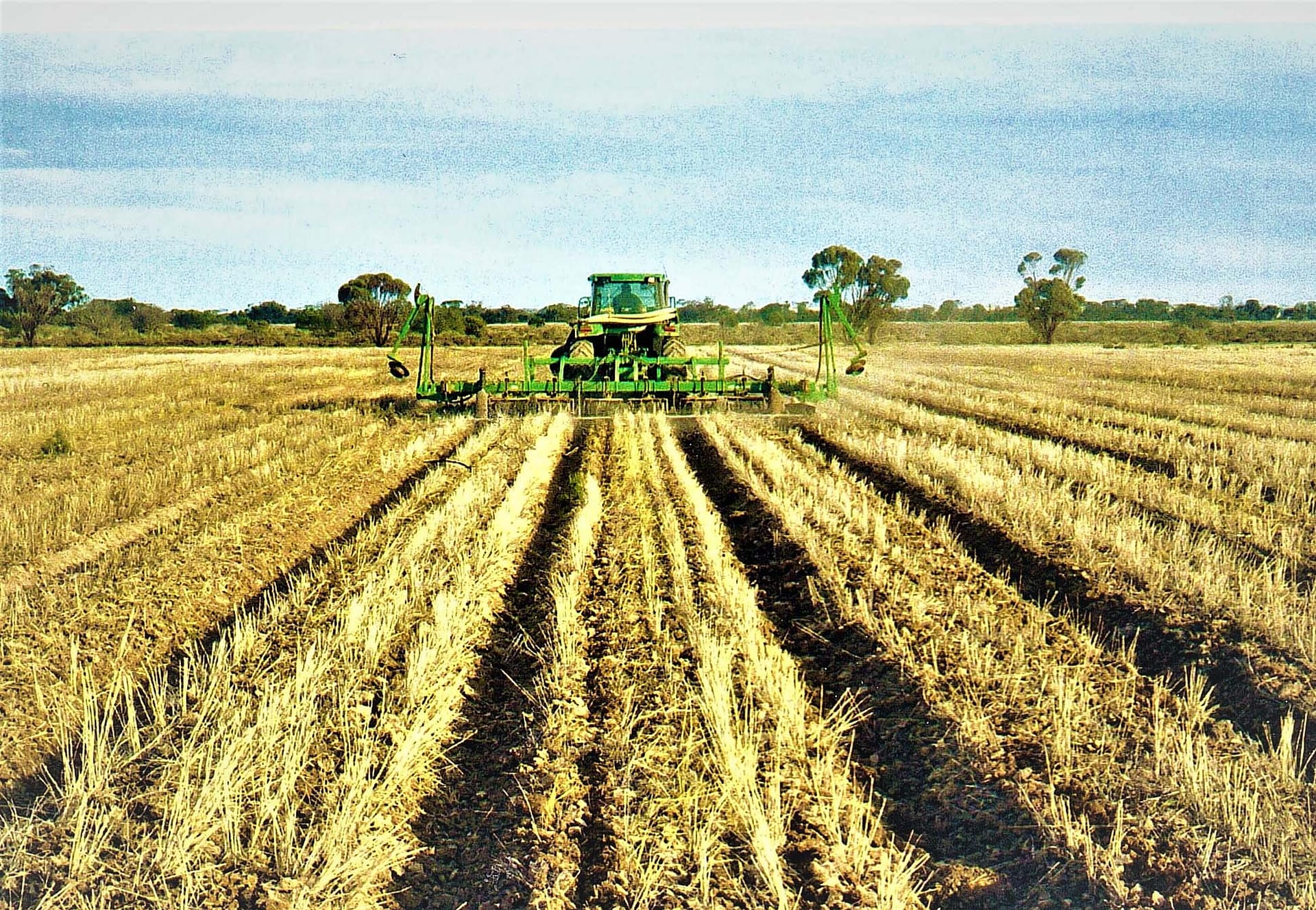 Seedbed Conditioner renovating beds