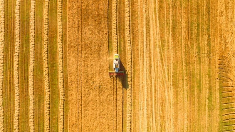 Harvesting wheat in Ukraine