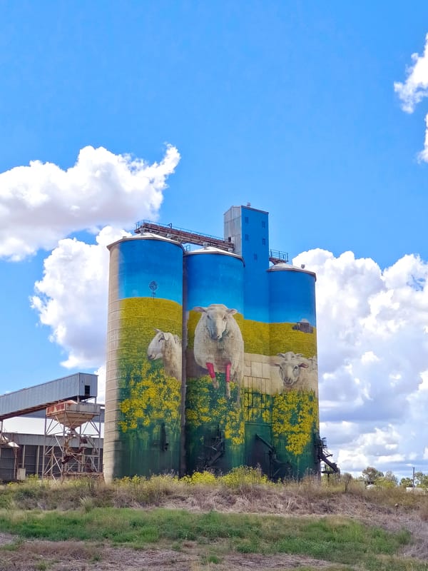 Silo art Upper Hunter