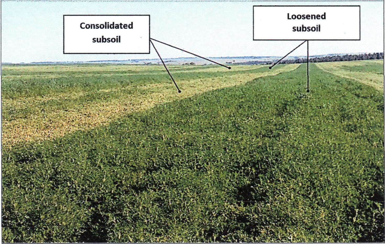 Compact and loosened soil comparison