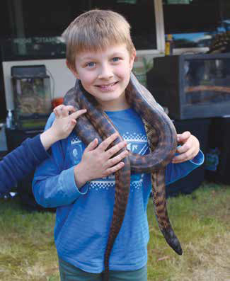 ”¦and handle with even greater care! From wombats to reptiles, the zoo was a great hit at the Show.