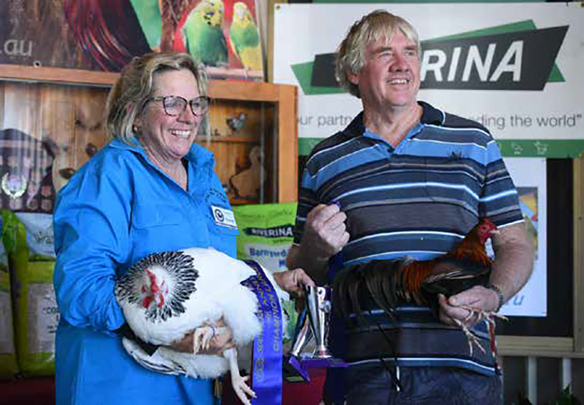 Reserve Champion Bird of the Show - a Light Sussex Bantam - owner Leanne Dobell. Grand Champion Bird of the Show - a Bantam Old English male cockerel - owner Terry Politch.